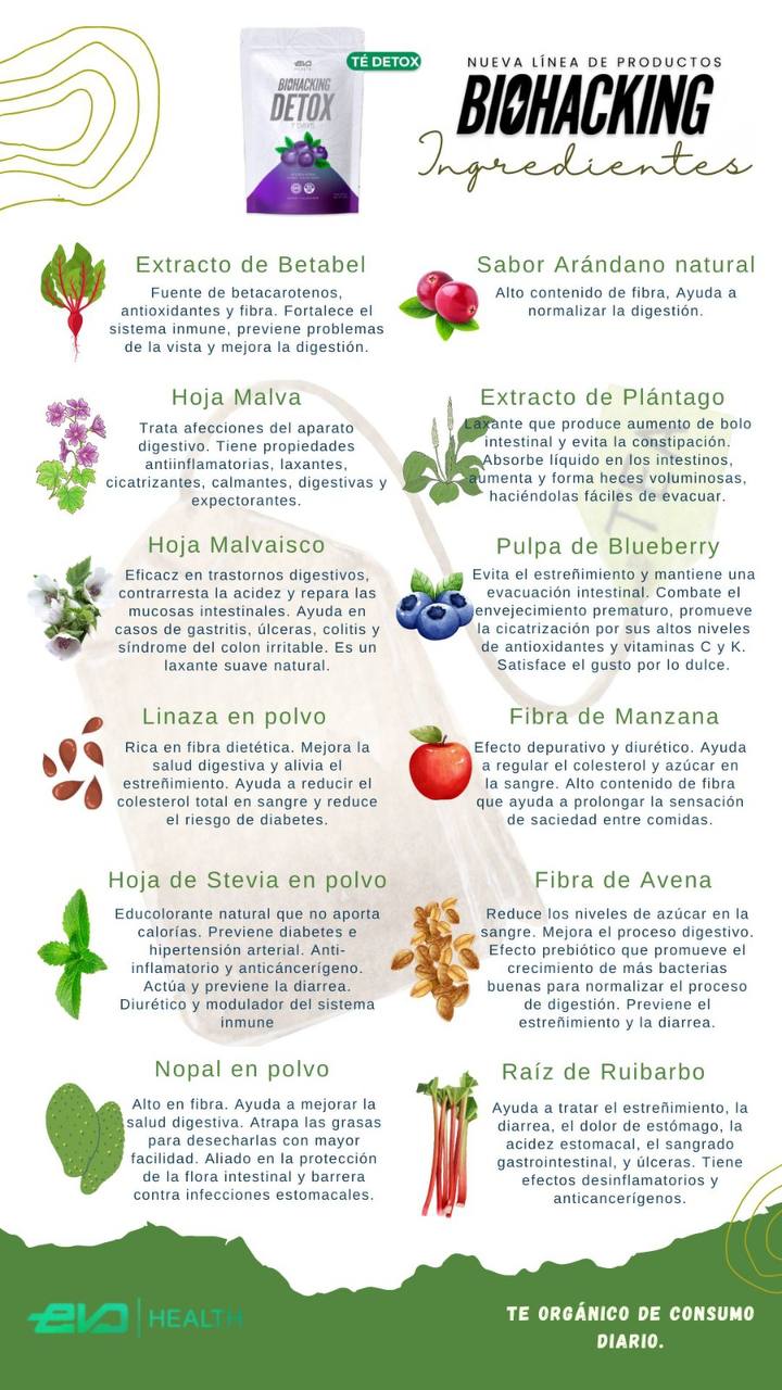 TÉ DETOX 6 SOBRES